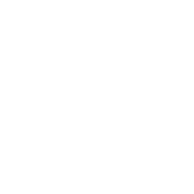 Vecta Finance